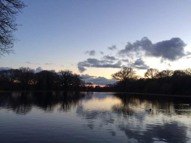 Urban greening: make our cities green&nbsp;again!